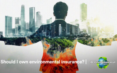 Should I own environmental insurance